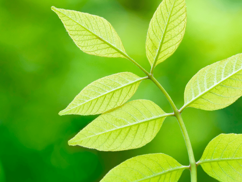 How To Take Better Care of Yourself?