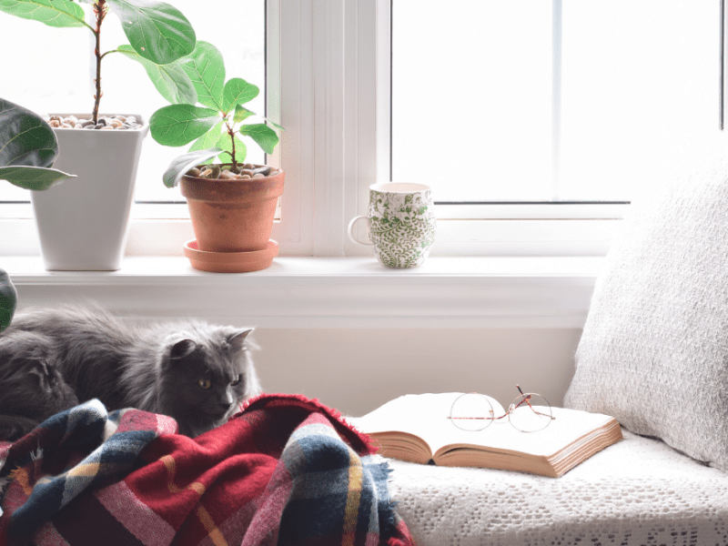 Books I Love