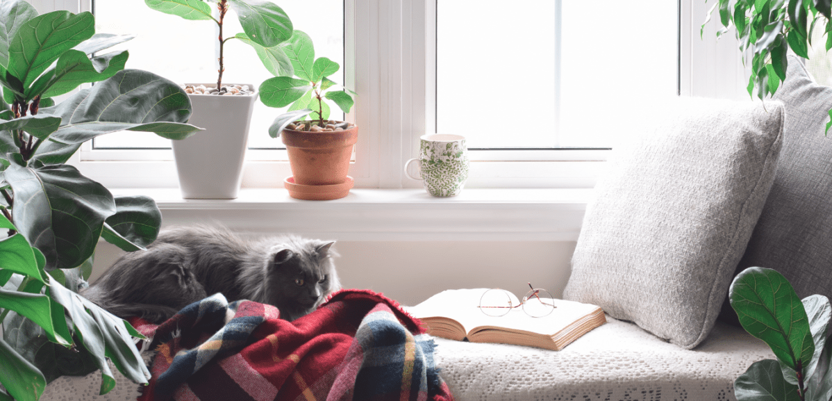Books I Love